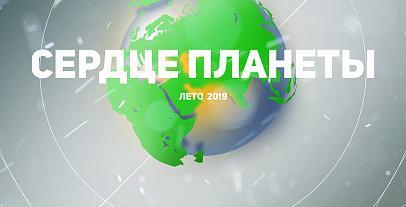 Проекты